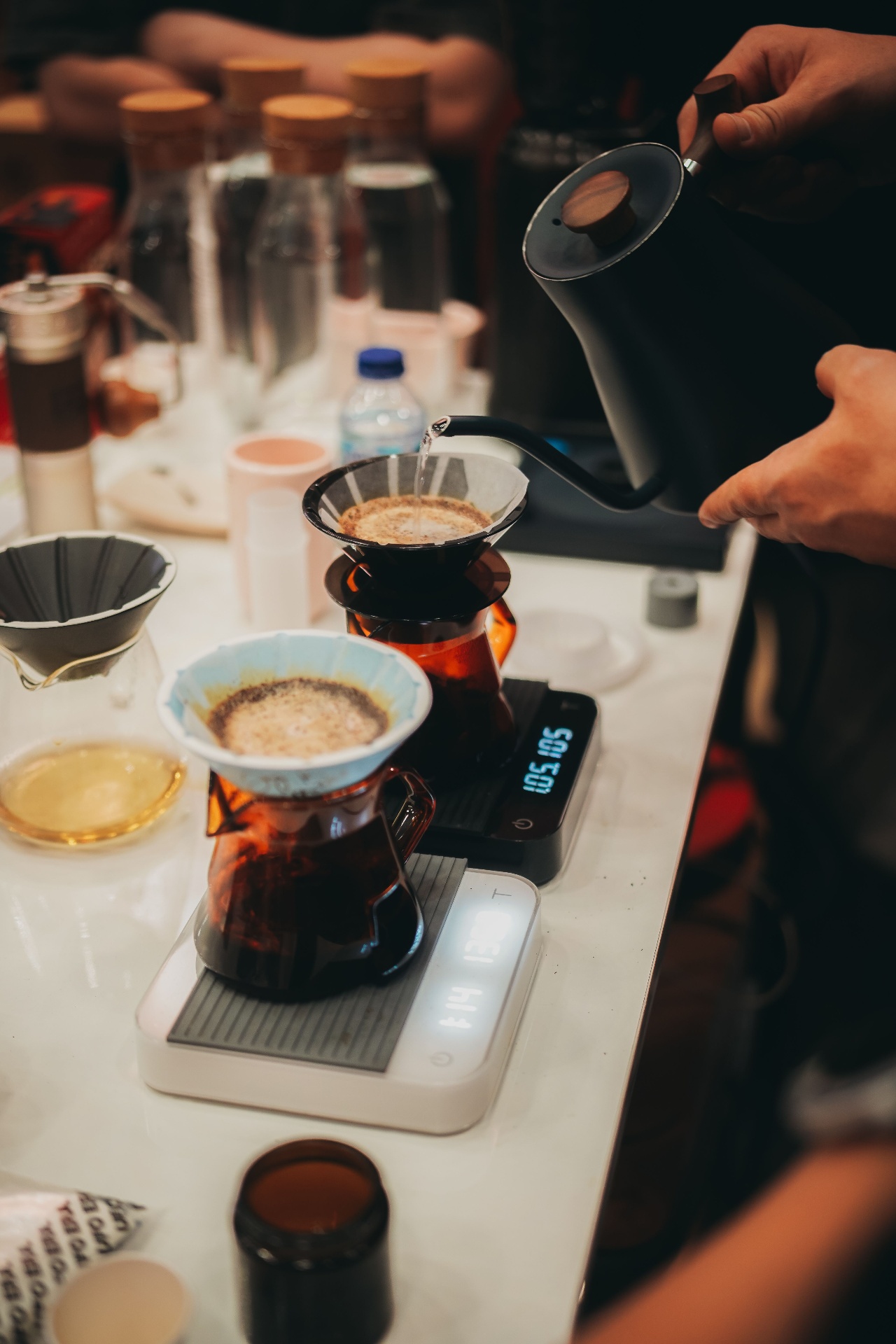Mesa de cupping durante una masterclass de Gato Solo